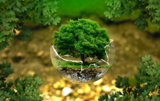 bagno ecologista idee